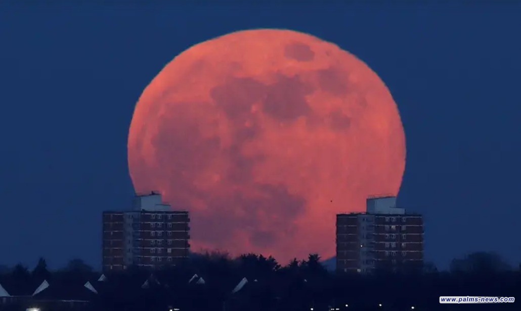 القمر العملاق يزين السماء خلال أيام